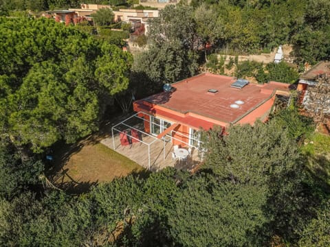 Property, Plant Community, Building, Window, Plant, Tree, Land Lot, Urban Design, House, Rural Area