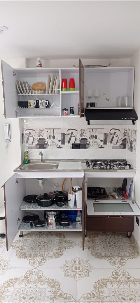 Fridge, stovetop, dishwasher, cookware/dishes/utensils