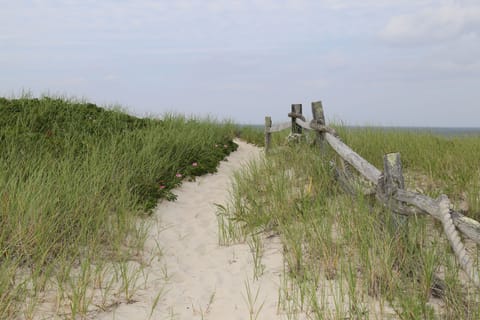 On the beach, beach towels