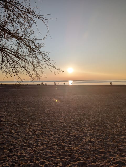 Beach nearby, sun loungers, beach towels