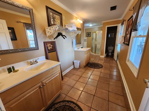 Bathtub, jetted tub, hair dryer, towels