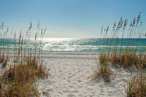 On the beach