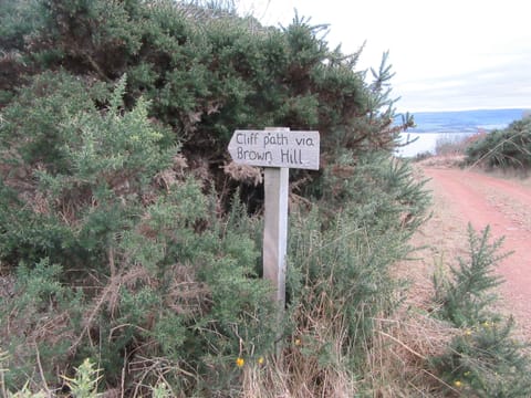 Local path network signage