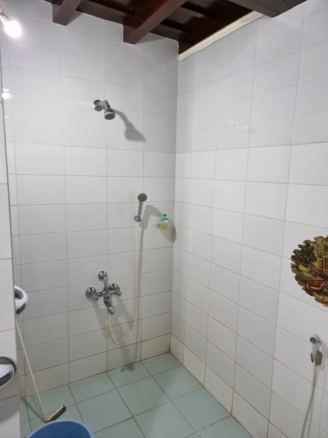 Combined shower/tub, hair dryer, bidet, towels