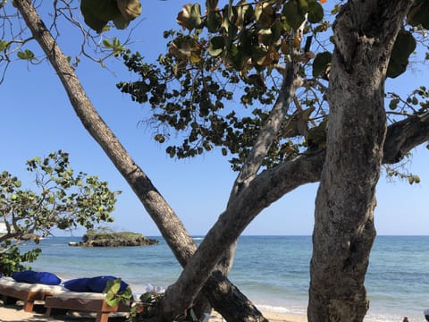 Sun loungers, beach towels