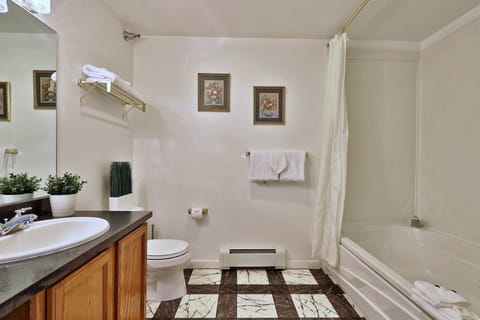 Combined shower/tub, hair dryer, towels