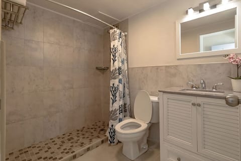 Combined shower/tub, hair dryer, towels