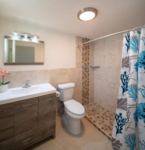 Combined shower/tub, hair dryer, towels