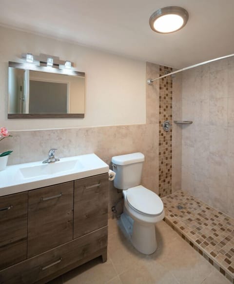 Combined shower/tub, hair dryer, towels