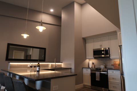 Brand new modern kitchen with vaulted ceilings 