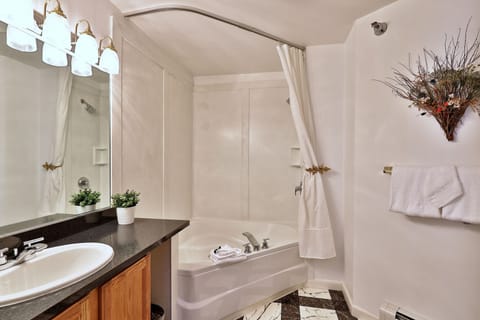 Combined shower/tub, jetted tub, hair dryer, towels