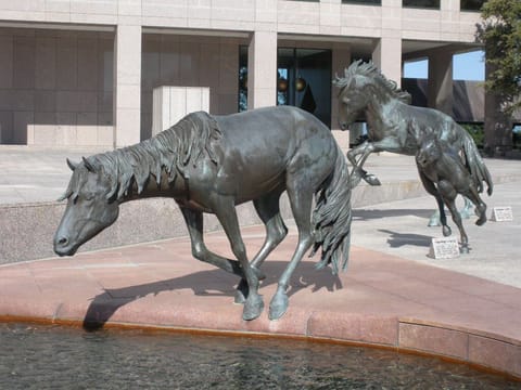 Mustangs of Las Colinas