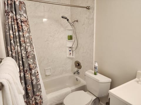 Combined shower/tub, hair dryer, towels, soap