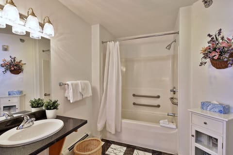 Combined shower/tub, hair dryer, towels