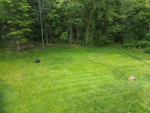 Large Backyard with Firepit.
