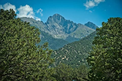 View from Downstairs Living Area (1)