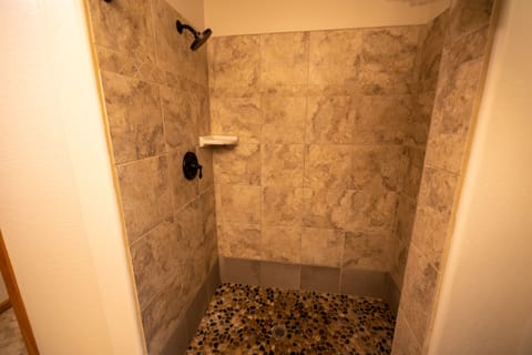 Shower, jetted tub, hair dryer, towels