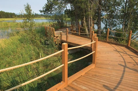 There are over 9 miles of walking trails throughout Dover Bay.