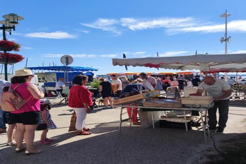 Region [summer] (&gt;5 km)