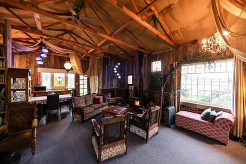 Fireplace, books