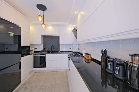 Fridge, oven, dishwasher, electric kettle