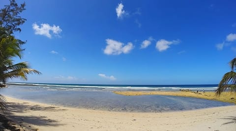 On the beach