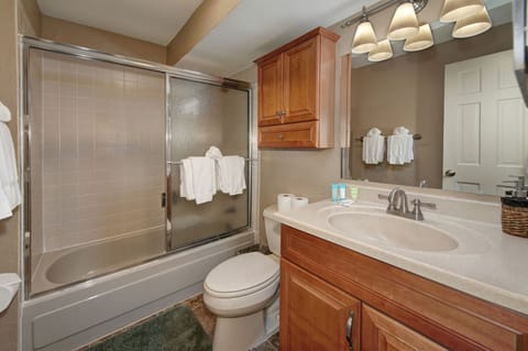 Separate tub and shower, hair dryer, towels