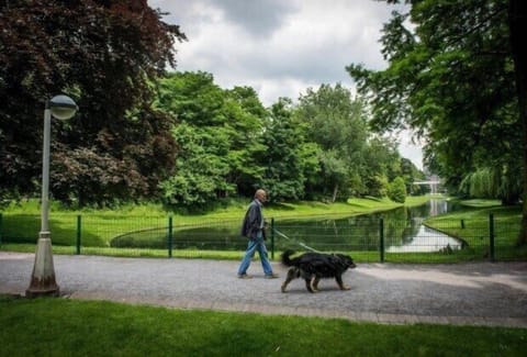 City center park at 500m from the apartment.