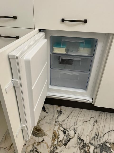 Electrolux freezer with ice cube trays