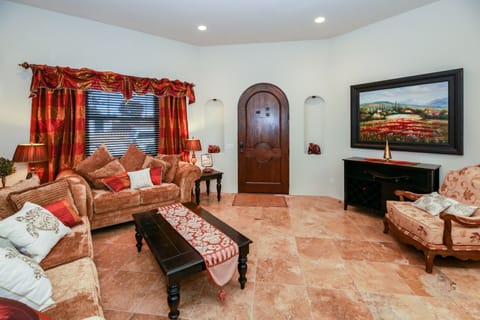 TV, fireplace, books