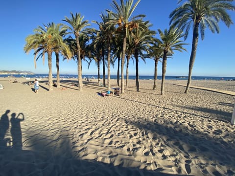 Sun loungers, beach towels