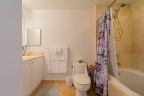 Combined shower/tub, hair dryer, towels