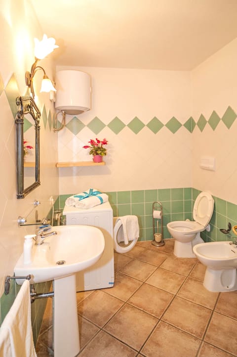 Combined shower/tub, hair dryer, bidet, toilet paper