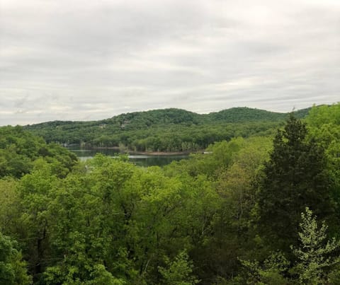 Nothing beats a day by the water, surrounded by trees and clear skies.