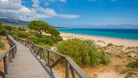 Beach nearby, sun loungers