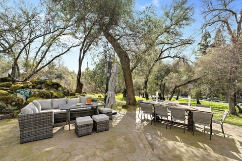 Chill Out in the Backyard