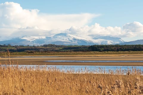 The Brackens - Mountain View - Malltraeth