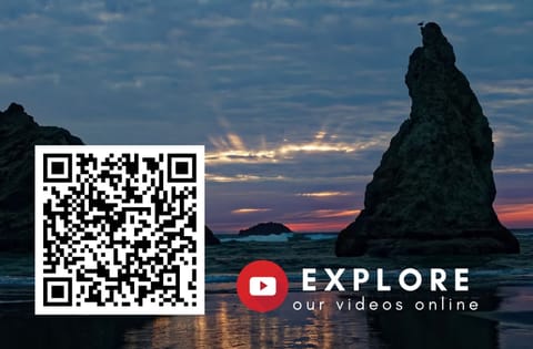 See more videos on our Youtube: https://youtube.com/playlist?list=PLx6P8GaosTjE3_odP5oHxW-9Llu2j9KWb