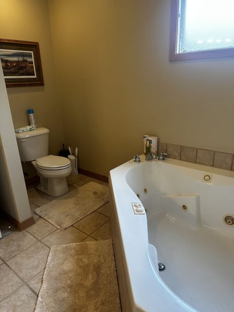 Combined shower/tub, jetted tub, free toiletries, hair dryer