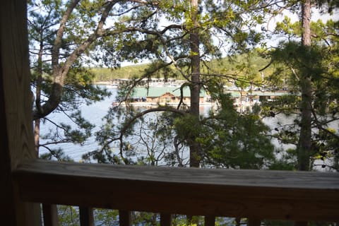 Tree, Tree Trunk, Nature, Outdoors, Scenery