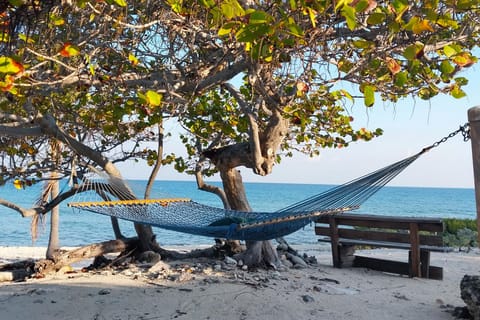 Sun loungers, beach towels