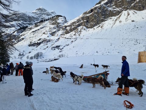 Snow and ski sports