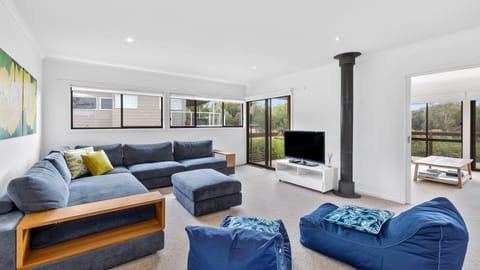 TV, fireplace, books