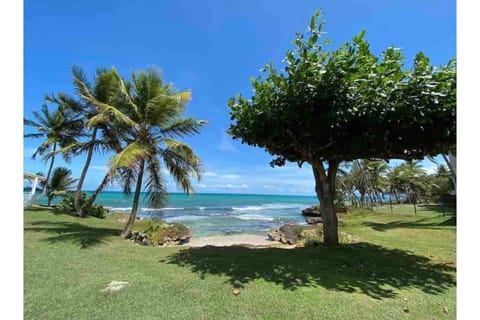 On the beach, sun loungers