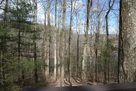 View of the lake from the deck.