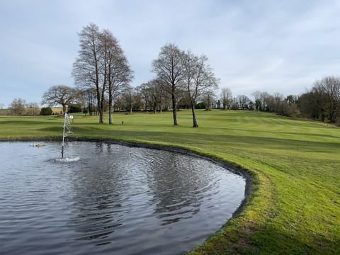 Activities & Experiences