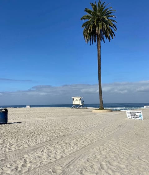 Sun loungers, beach towels