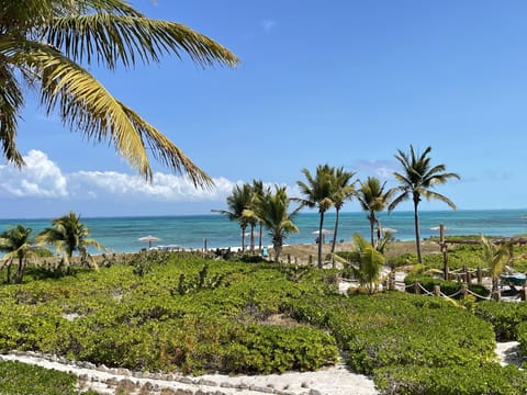 On the beach, sun loungers, beach towels