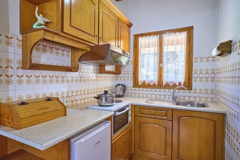 Theodora Apartment 1 Agios Stefanos Corfu Kitchen