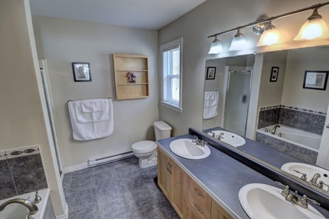 Combined shower/tub, jetted tub, hair dryer, towels